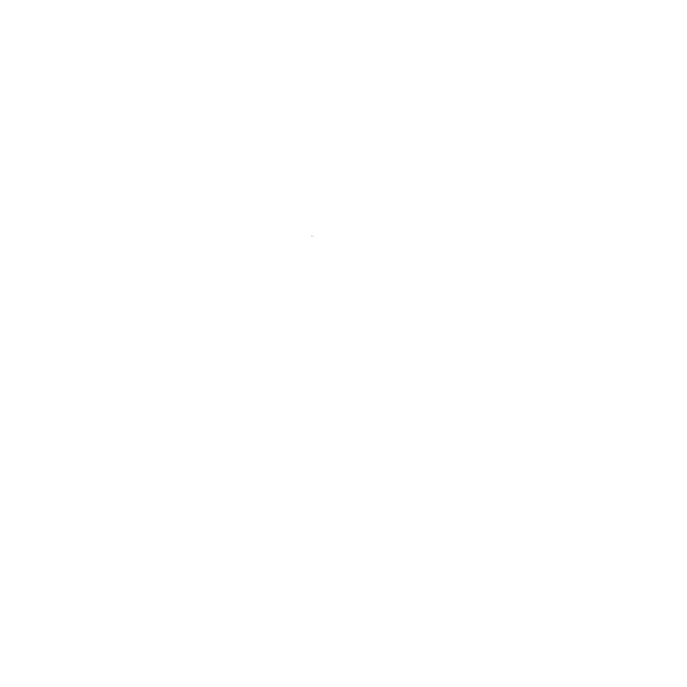 Criacao-de-Logo-e-Marca-RC-Ranch-branco